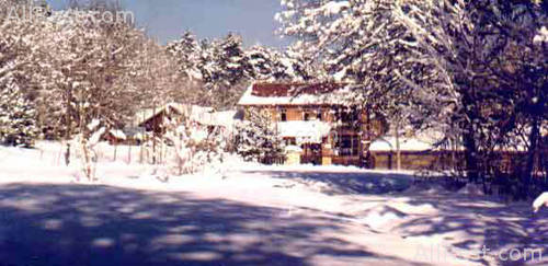 Petro Club Abantbey Yaylasi Apart Hotel 8